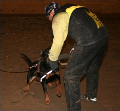 Training in Estonia 11/2007